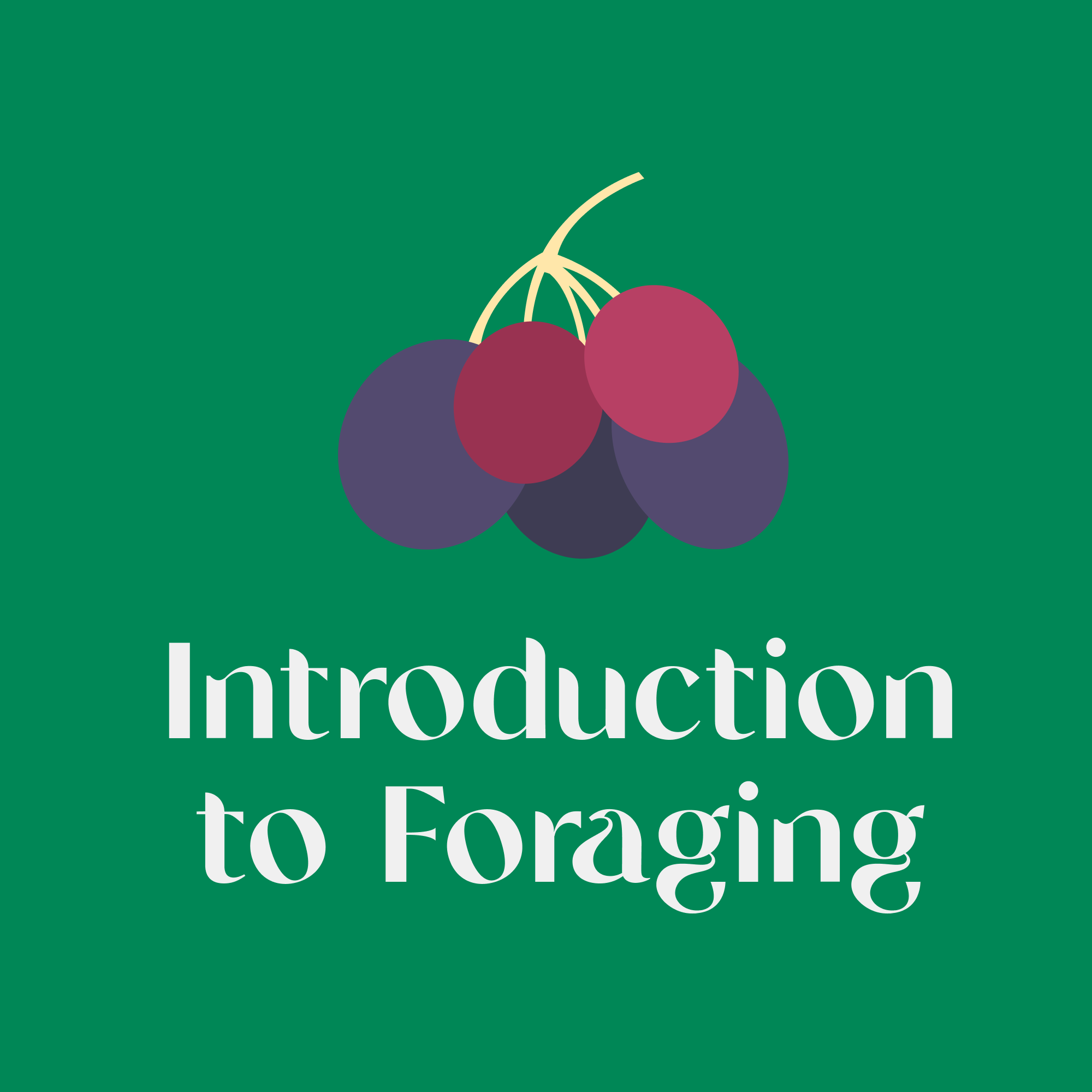 Introduction to Foraging
